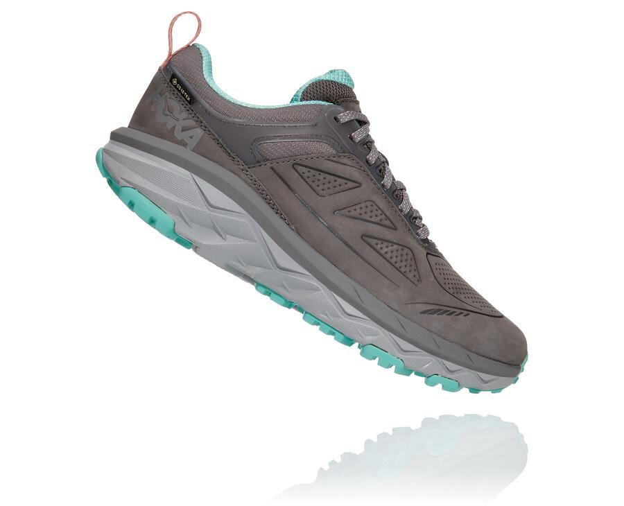 Trail Shoes Womens - Hoka One One Challenger Low GORE-TEX - Grey - LVXNJOU-58